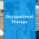 Occupational Therapy Program